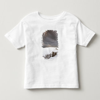 Ein defekter Zaun entlang einer Schnee Kleinkind T-shirt