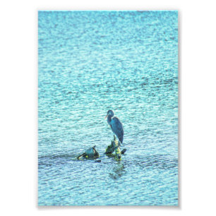 Ein Denker Fotodruck