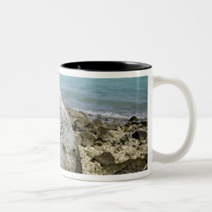 Ein Denkmal zu den Kriegsgefangen auf Wake Insel Zweifarbige Tasse