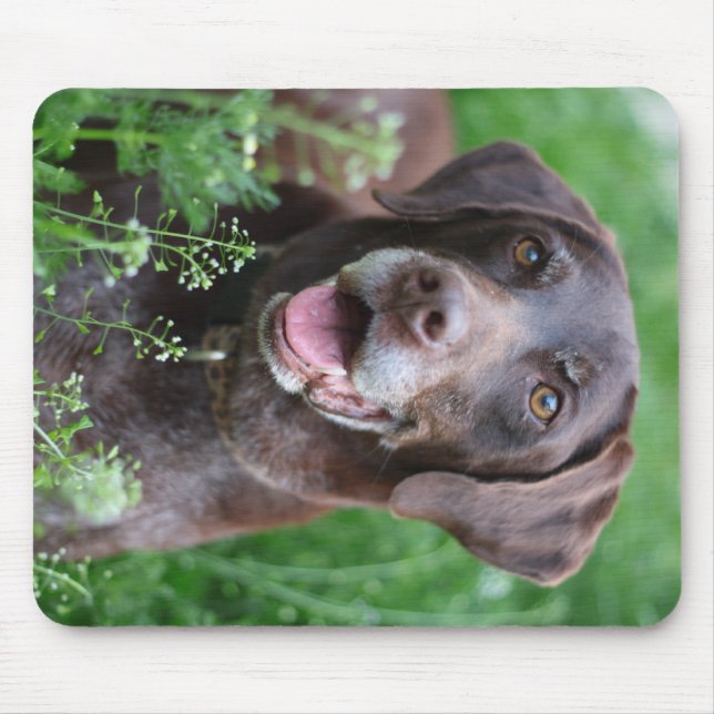 Ein deutscher Hund des kurzhaarigen Zeigers im Mousepad (Vorne)