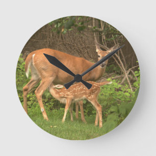 Ein Doh und ihre Fawn Runde Wanduhr
