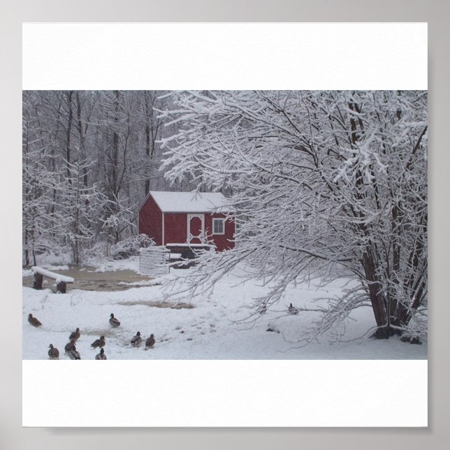 Ein Ducky Christmas Poster (Vorne)