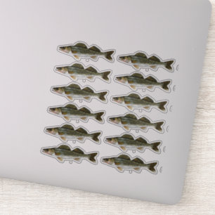 Ein Dutzend Hornhautfleck-Pike-Fische Aufkleber