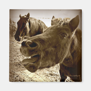 Ein echter Freund Magnet