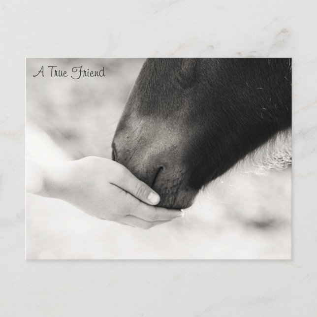 Ein echter Freund Postkarte (Vorderseite)