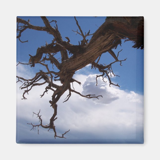 Ein echtes Cliffhanger-Magnet Magnet (Vorne)