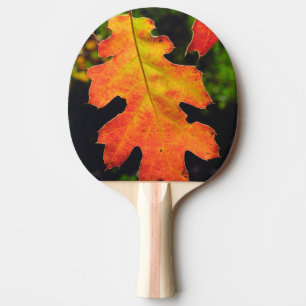 Ein Eichenblatt im Six Rivers National Forrest Tischtennis Schläger