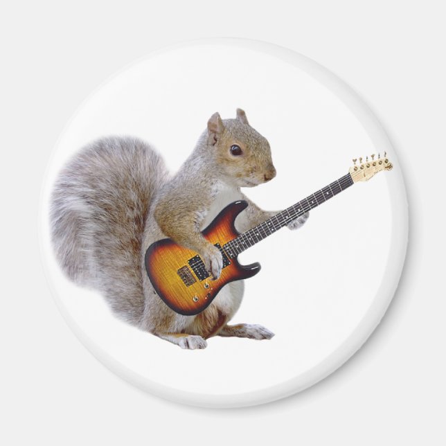 Ein Eichhörnchen spielt Gitarre Magnet (Vorne)