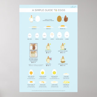 Ein einfacher (visueller) Leitfaden für Eier Poster
