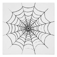 Ein einfaches Spinnennetz