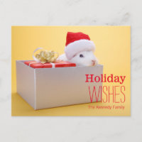 Ein eingewickeltes Geschenk und ein Kaninchen mit