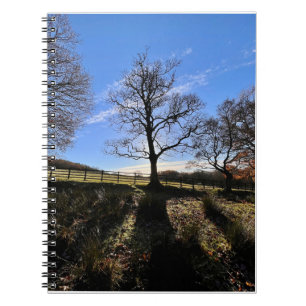 Ein einsamer Baum. Notizblock