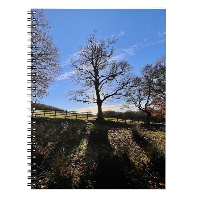 Ein einsamer Baum. Notizblock (Vorderseite)