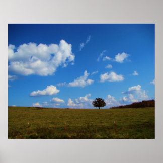 Ein einsamer Baum Poster
