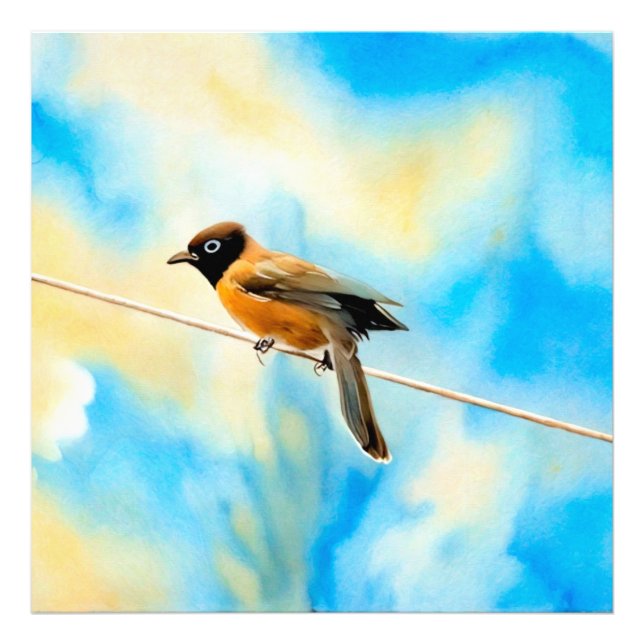 Ein einsamer bunter Vogel Fotodruck (Vorne)