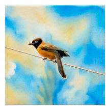 Ein einsamer bunter Vogel