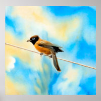 Ein einsamer bunter Vogel