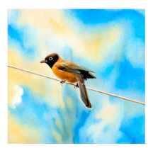 Ein einsamer bunter Vogel