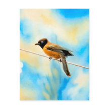 Ein einsamer bunter Vogel