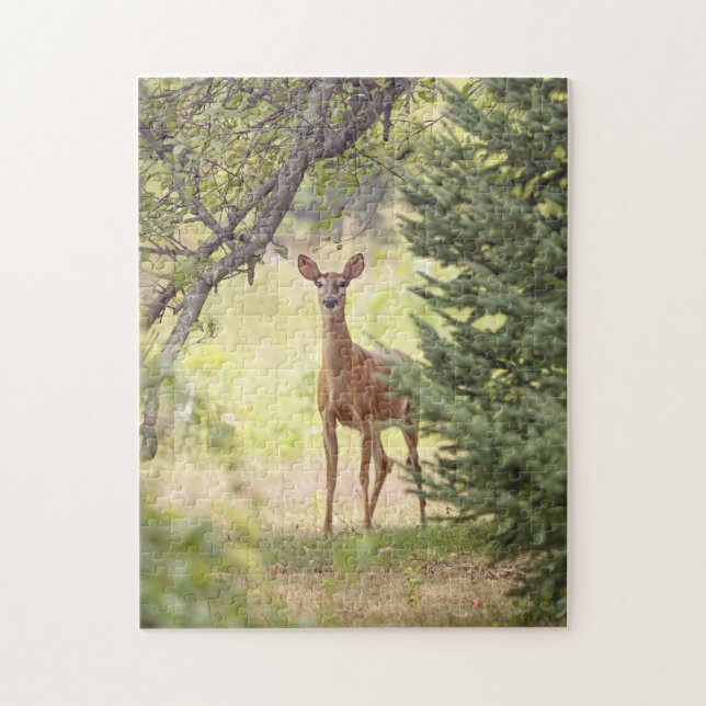 Ein einsamer Hirsch (Vertikal)