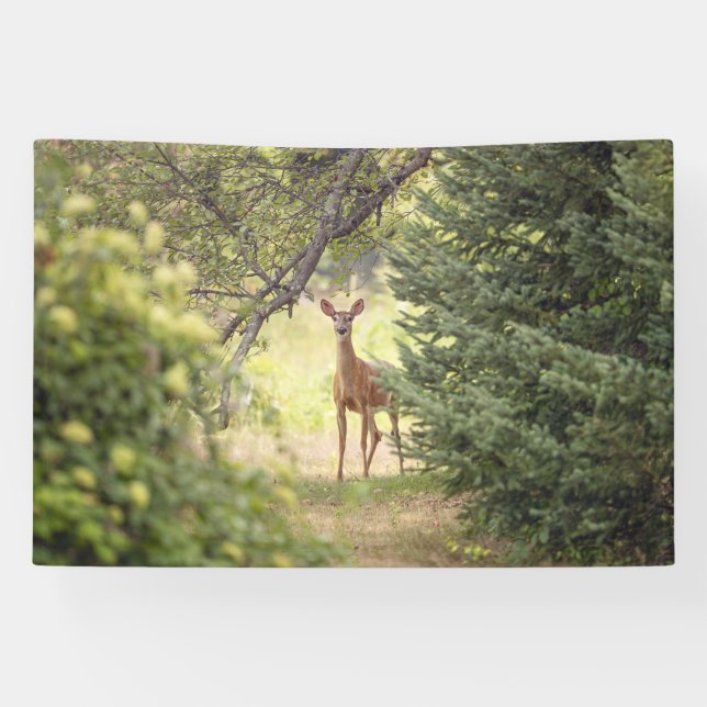Ein einsamer Hirsch Banner (Horizontal)