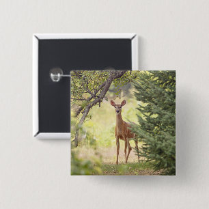 Ein einsamer Hirsch Button