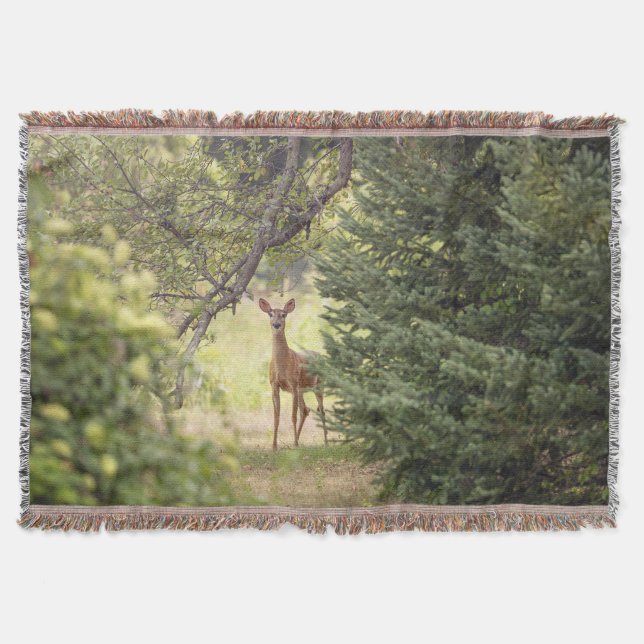 Ein einsamer Hirsch Decke (Vorderseite)