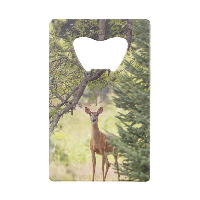 Ein einsamer Hirsch Geldbeutel Flaschenöffner (Vorderseite)