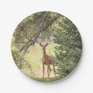 Ein einsamer Hirsch  Pappteller