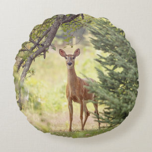 Ein einsamer Hirsch Rundes Kissen