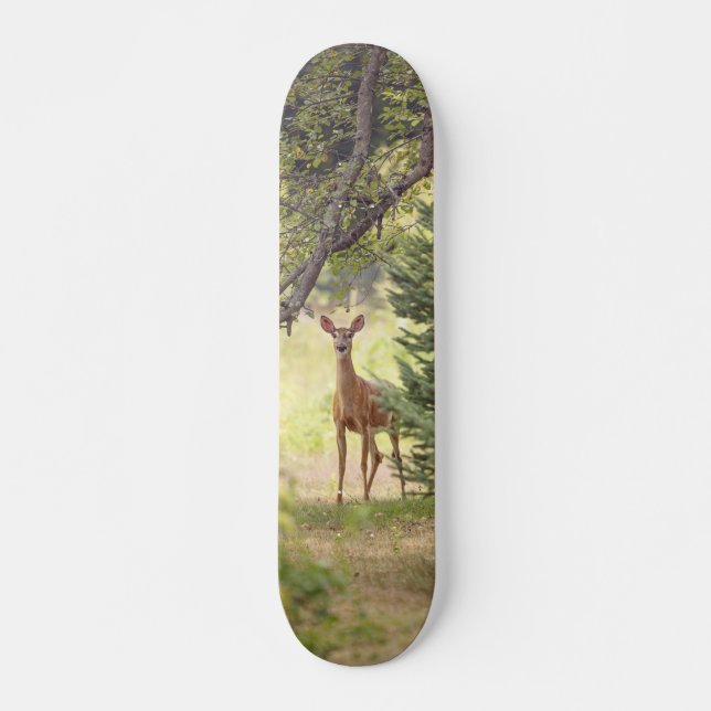 Ein einsamer Hirsch Skateboard (Vorne)