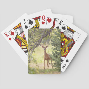 Ein einsamer Hirsch Spielkarten