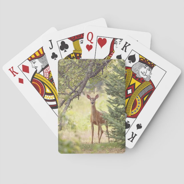 Ein einsamer Hirsch Spielkarten (Rückseite)