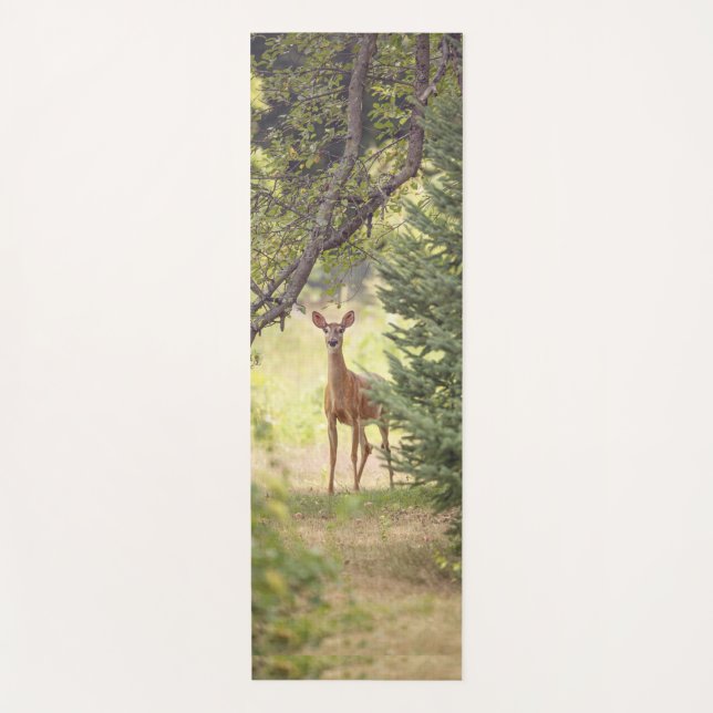 Ein einsamer Hirsch Yogamatte (Vorderseite)