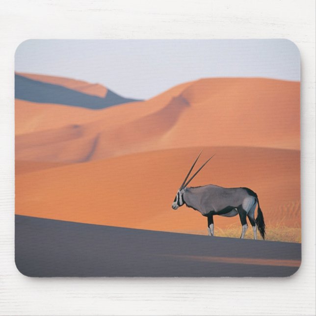 Ein einsames oryxes Antilope. Mousepad (Vorne)
