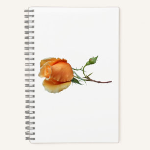 Ein einzelner Rosenschnitt Notizbuch