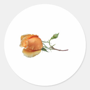 Ein einzelner Rosenschnitt Runder Aufkleber