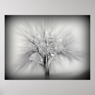 Ein einziger Baum an der ND-Prärie Poster