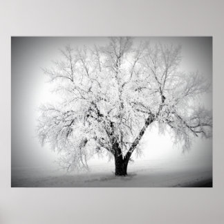 ein einziger Baum auf der ND-Prärie Poster
