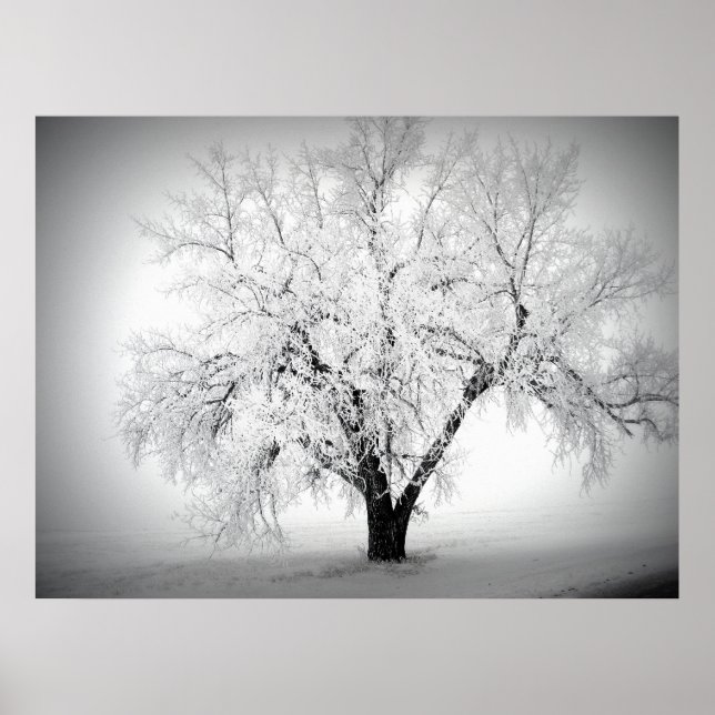 ein einziger Baum auf der ND-Prärie Poster (Vorne)