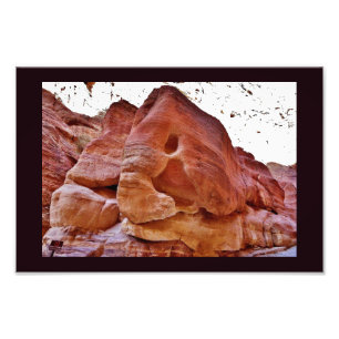 Ein Elefant in Petra Fotodruck