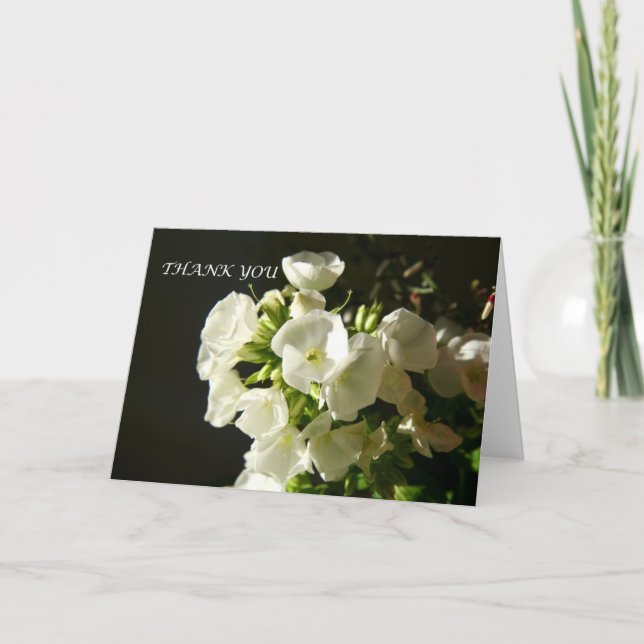 Ein elegantes Dankeschön an die Garden Phlox Card Dankeskarte (Vorderseite)