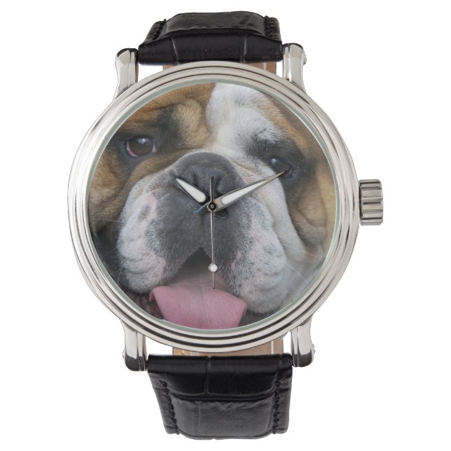 Ein englischer Bulldog in Belgien. Armbanduhr (Vorderseite)