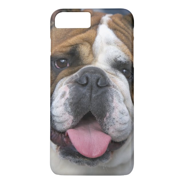Ein englischer Bulldog in Belgien. Case-Mate iPhone Hülle (Rückseite)