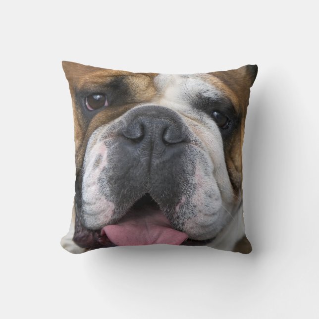 Ein englischer Bulldog in Belgien. Kissen (Vorderseite)