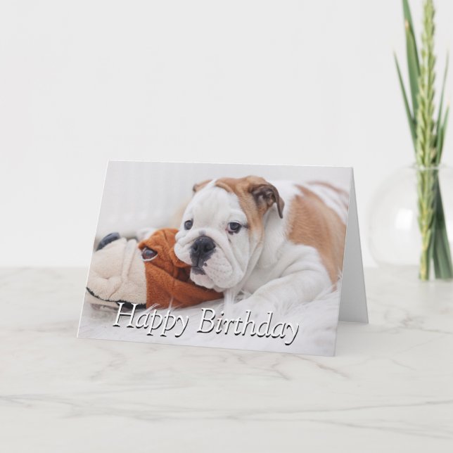 Ein englischer Bulldog-Welpe, der mit einem Bulldo Karte (Vorderseite)