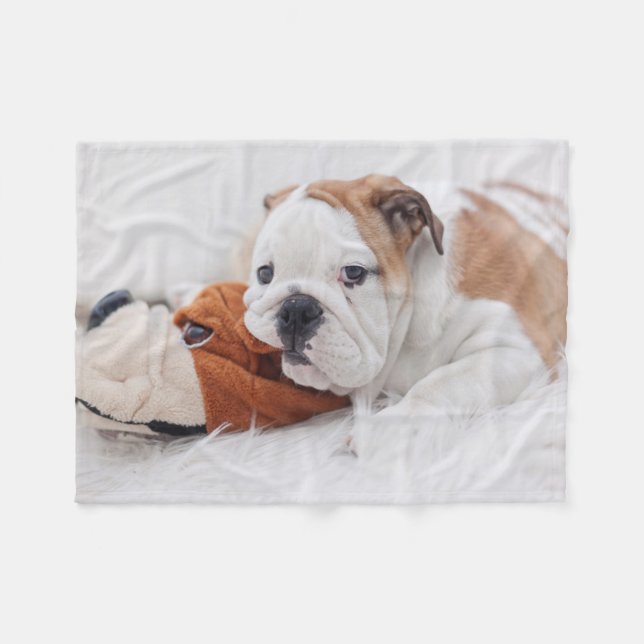 Ein englischer Bulldoggen-Welpe, der mit einer Fleecedecke (Vorderseite (Horizontal))