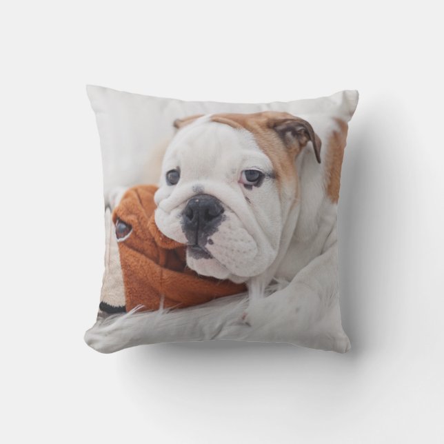 Ein englischer Bulldoggen-Welpe, der mit einer Kissen (Vorderseite)