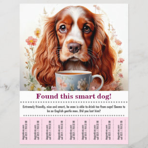 Ein englischer Cocker Spaniel Flyer gefunden