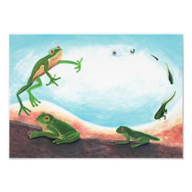 Ein erstaunlicher Lebenszyklus eines Frosches Fotodruck (Vorne)
